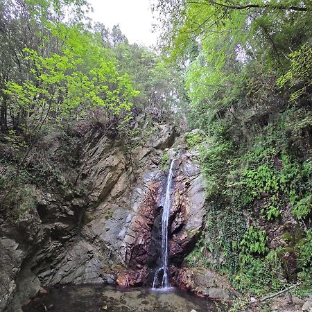 Village Camping Fico D'India Ovile la Marina エクステリア 写真