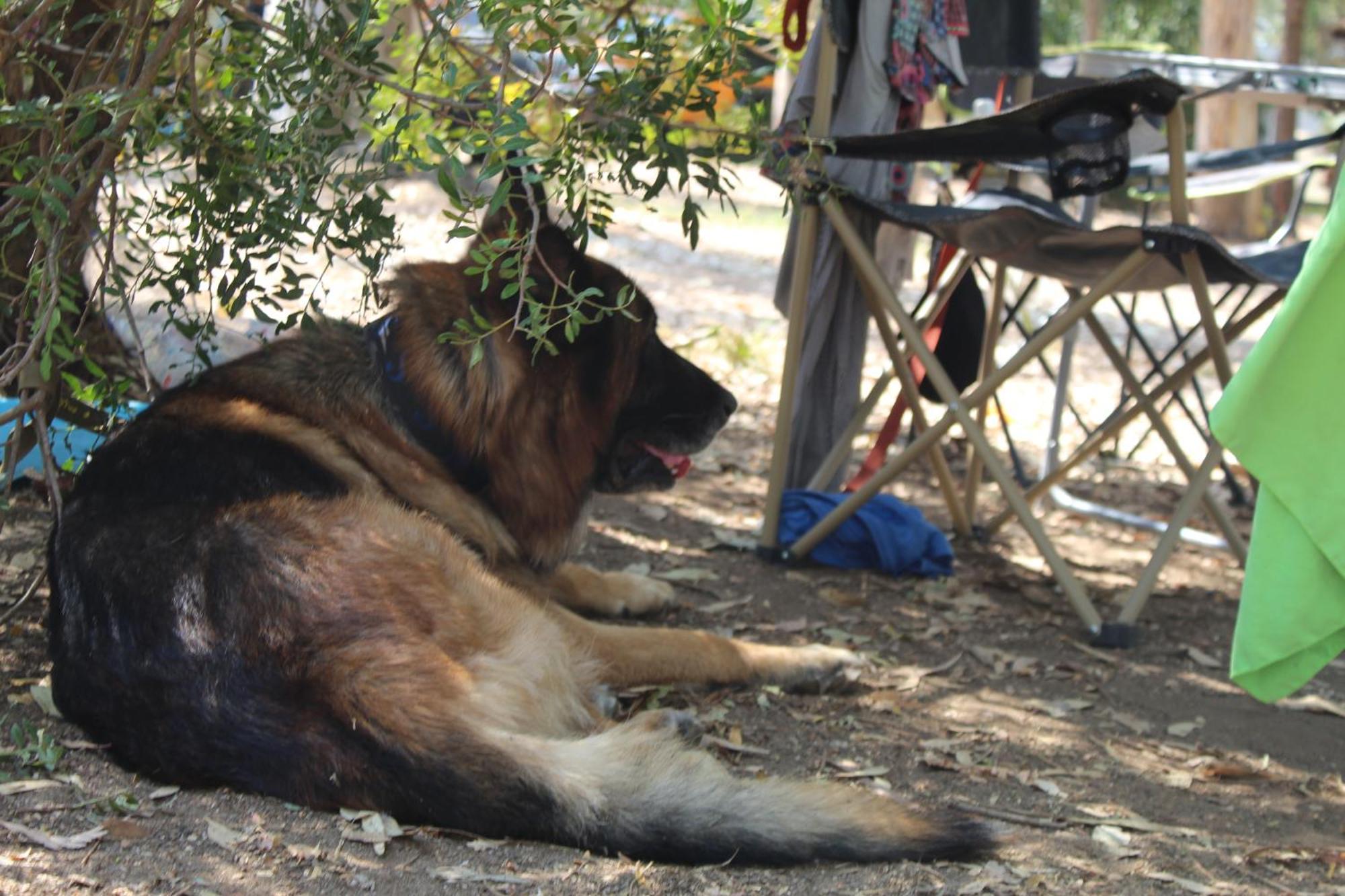 Village Camping Fico D'India Ovile la Marina エクステリア 写真