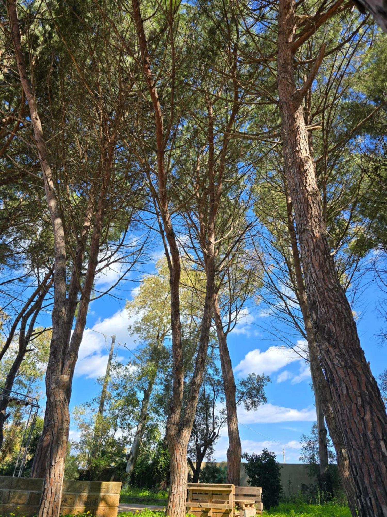 Village Camping Fico D'India Ovile la Marina エクステリア 写真
