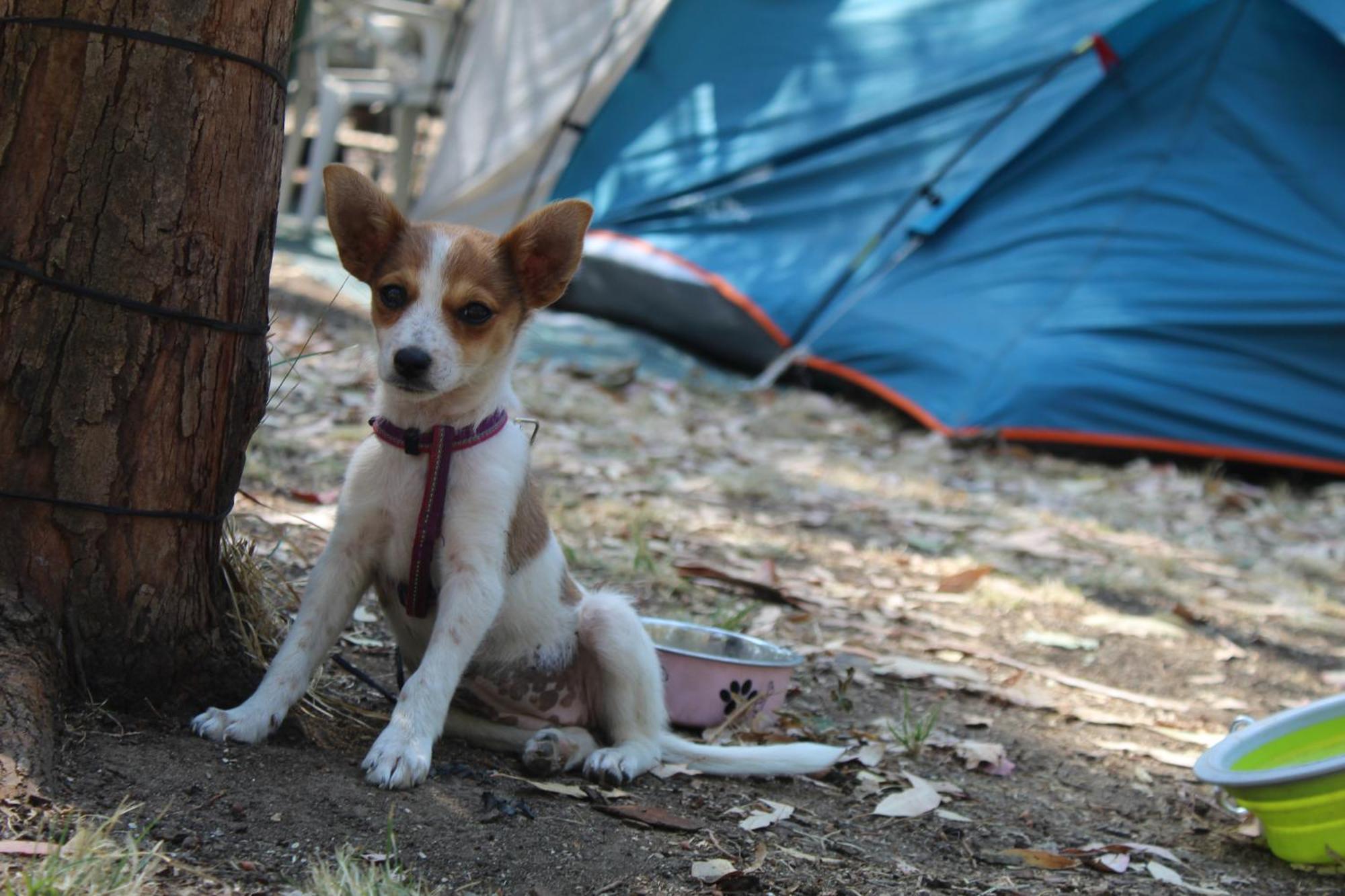 Village Camping Fico D'India Ovile la Marina エクステリア 写真