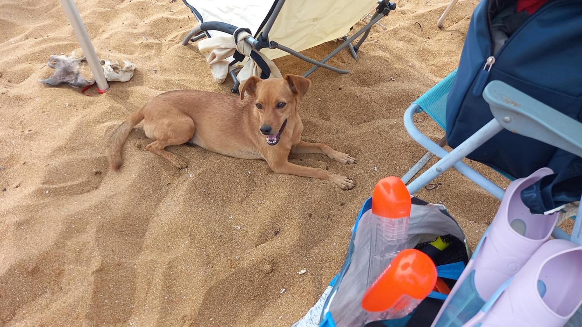 Village Camping Fico D'India Ovile la Marina エクステリア 写真